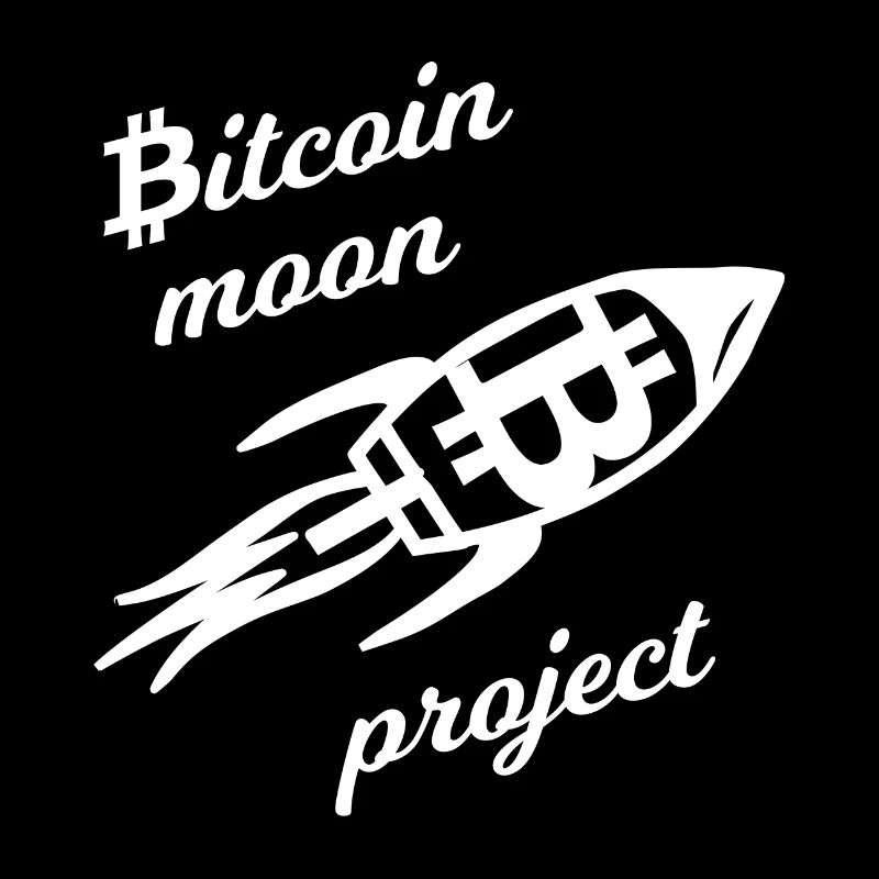 The Moon Project