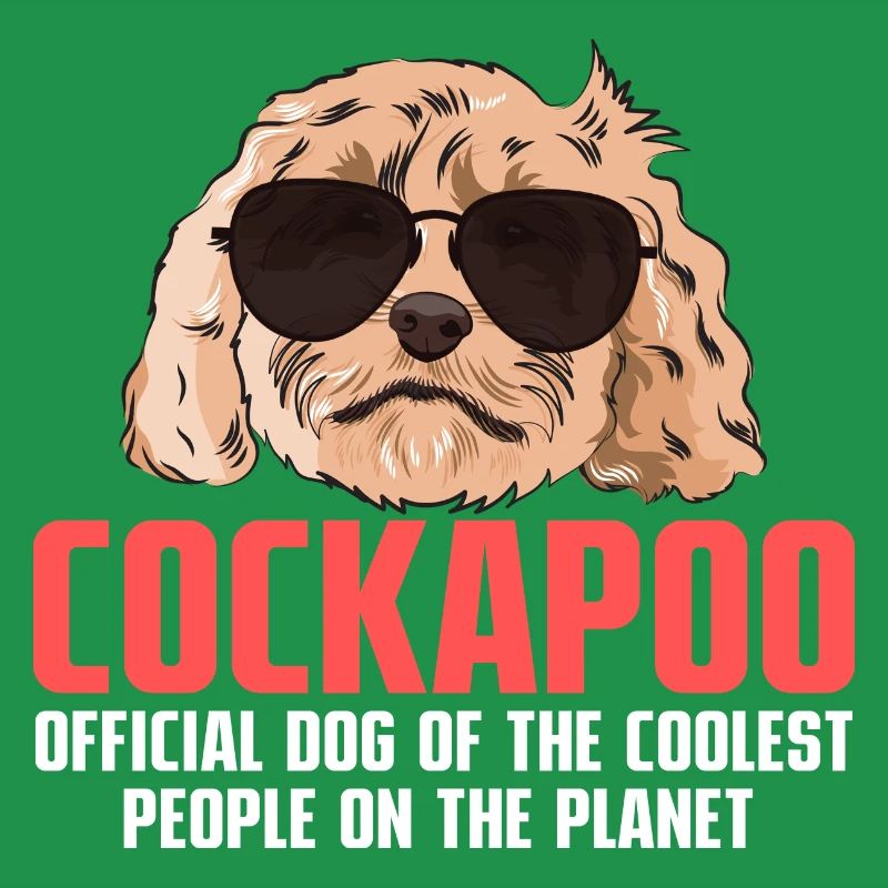 Cockapoo Dog