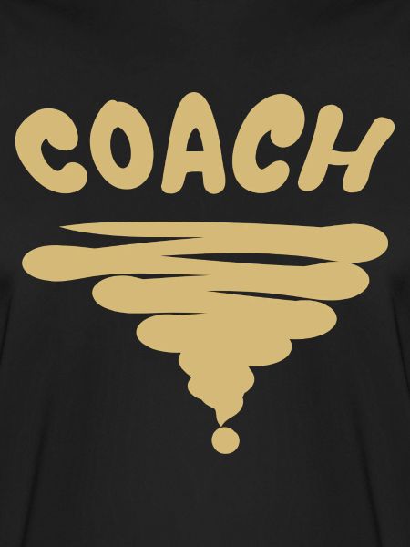 Beruf Coach