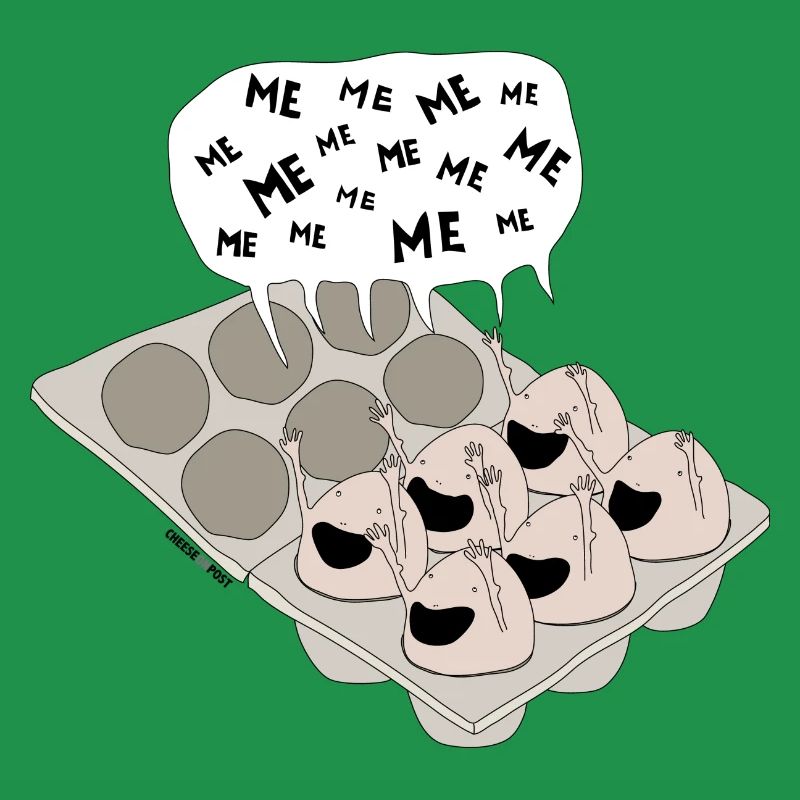 eggs