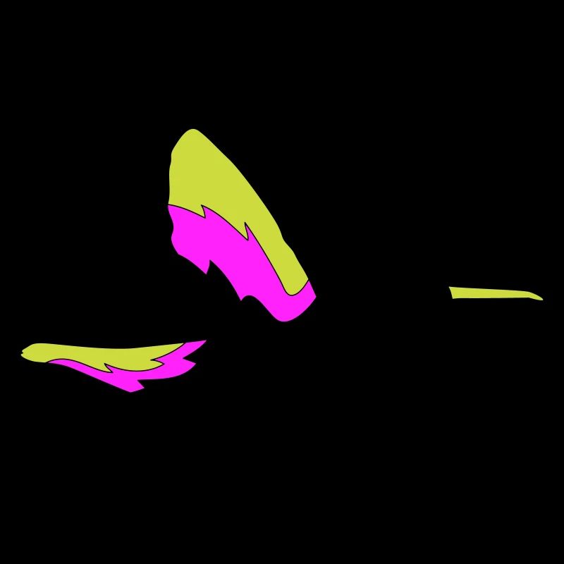 kolibri bird 1