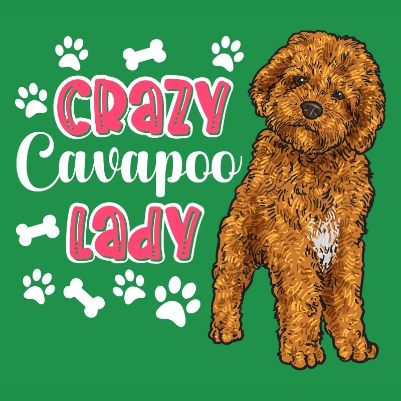 Cavapoo Cavoodle Capoodle Dog
