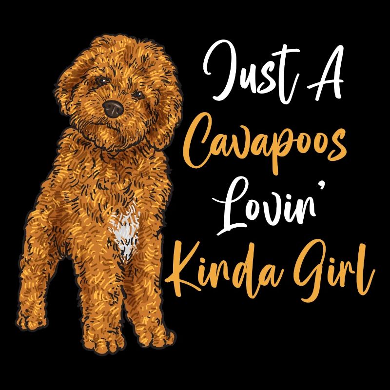 Cavapoo Cavoodle Capoodle Hund
