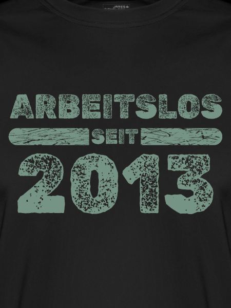 2013 2013