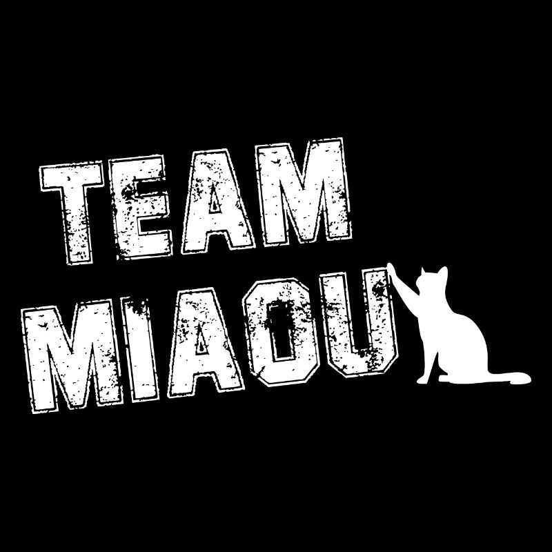 Team miaou chat humour