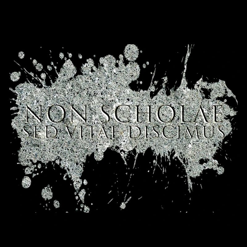 non scholae sed vitae discimus