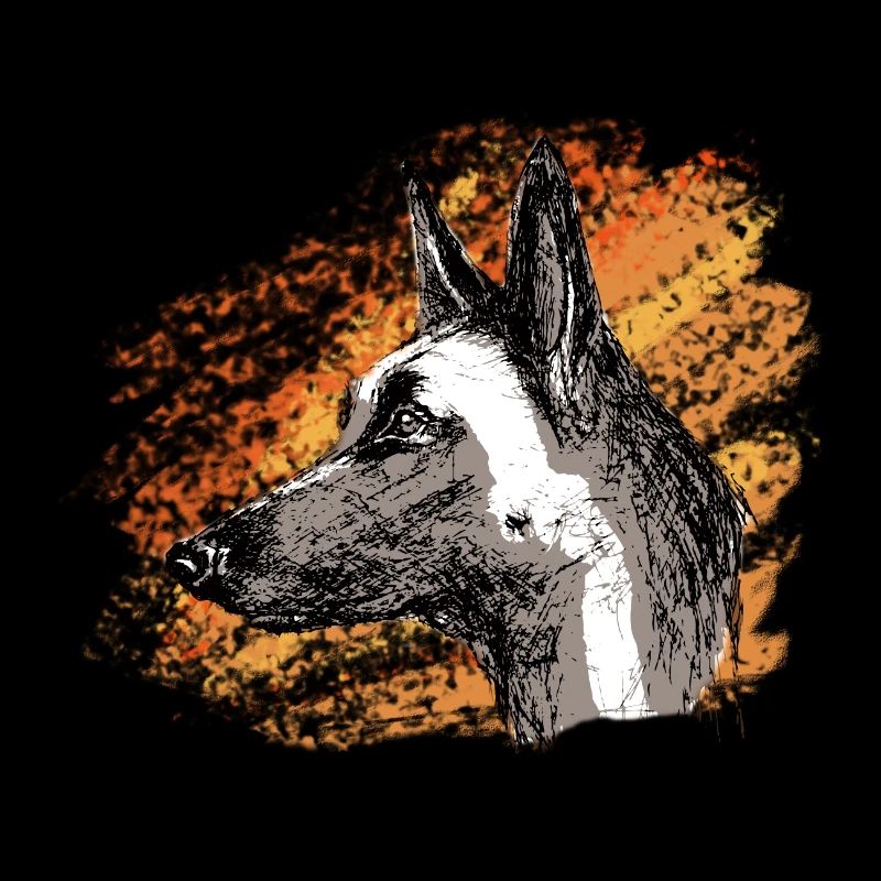 Feuer Malinois