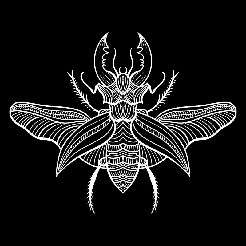 Beetle 2