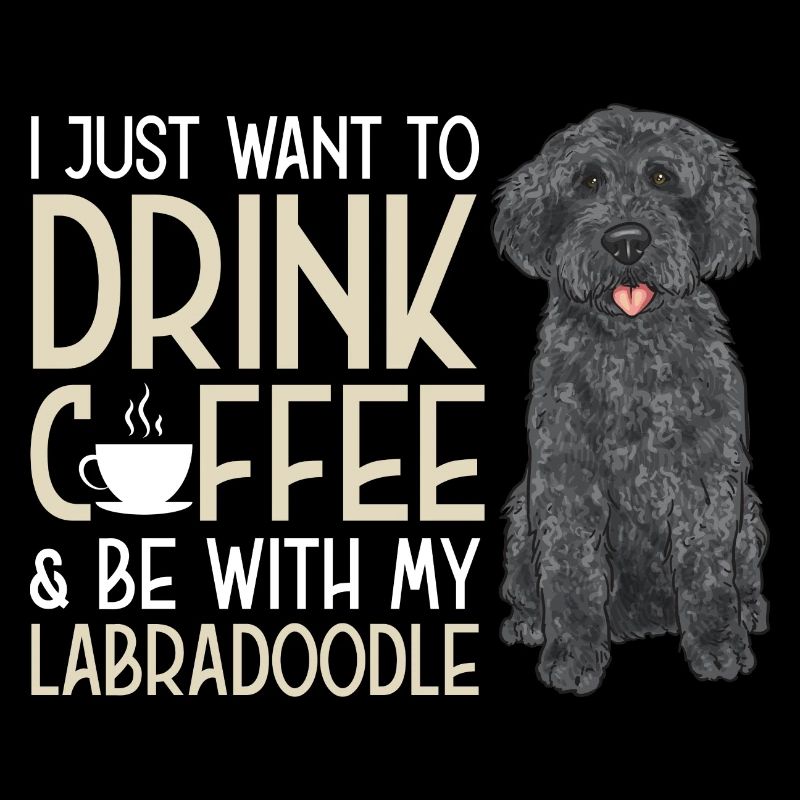 Labradoodle Hund