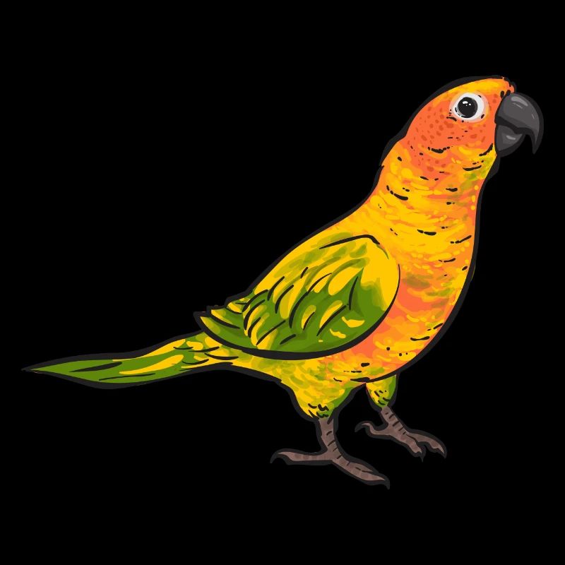 Molina Perruche Perroquet Oiseau Perruche Soleil