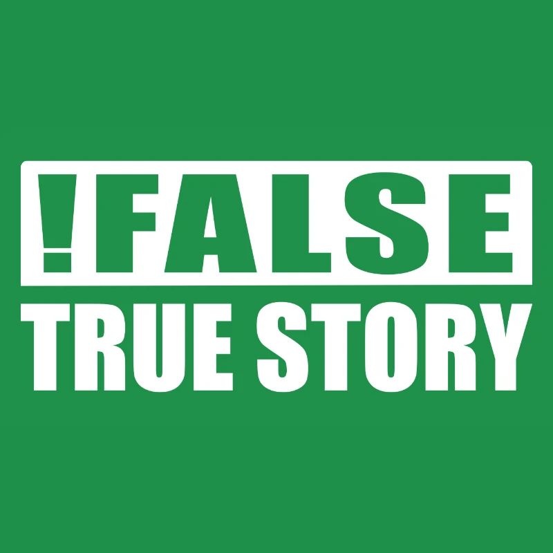 False True Story Computer Scientist Nerd ITler Gift