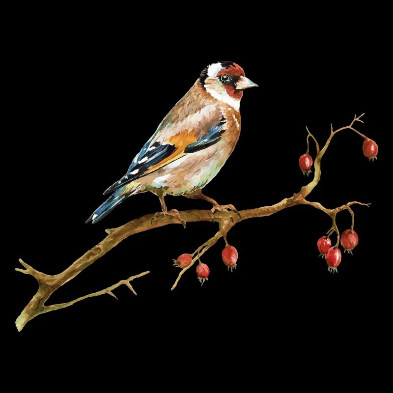bird