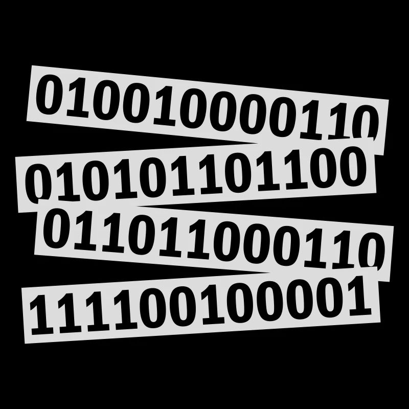 Langage de programme de code binaire