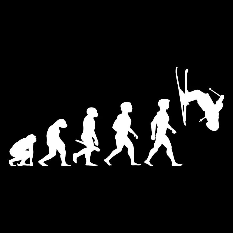 Evolution skieur ski freestyle sport d'hiver