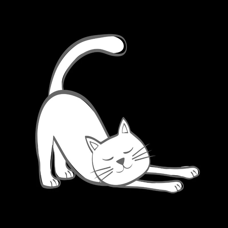 Cat stretch cat kitten stretch stretching