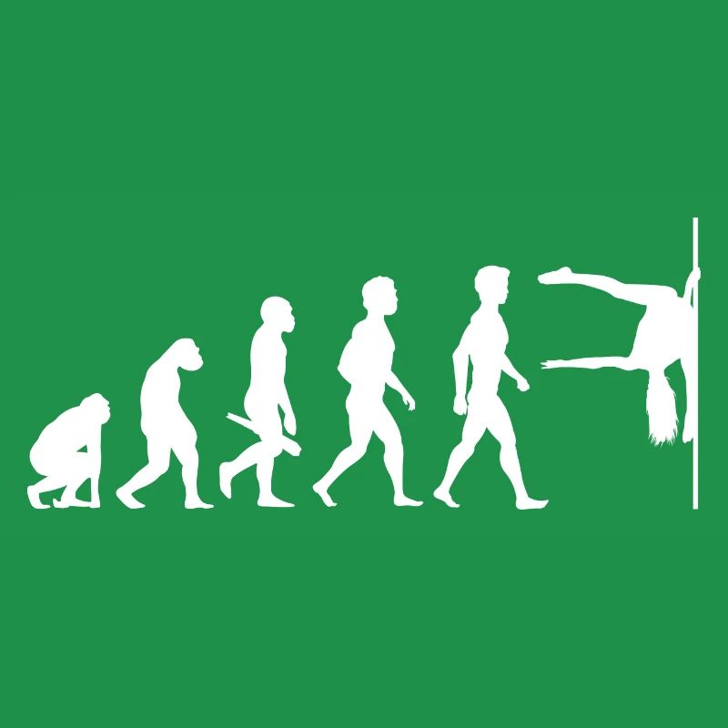 Evolution Poledance Pole Dancing Danse