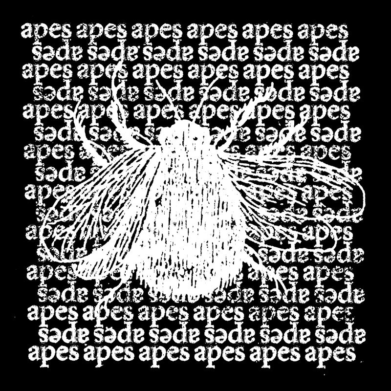 APES - Typographic Bee