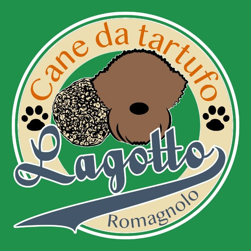 Canne 9 2