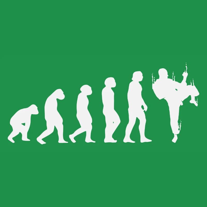 Karate Evolution