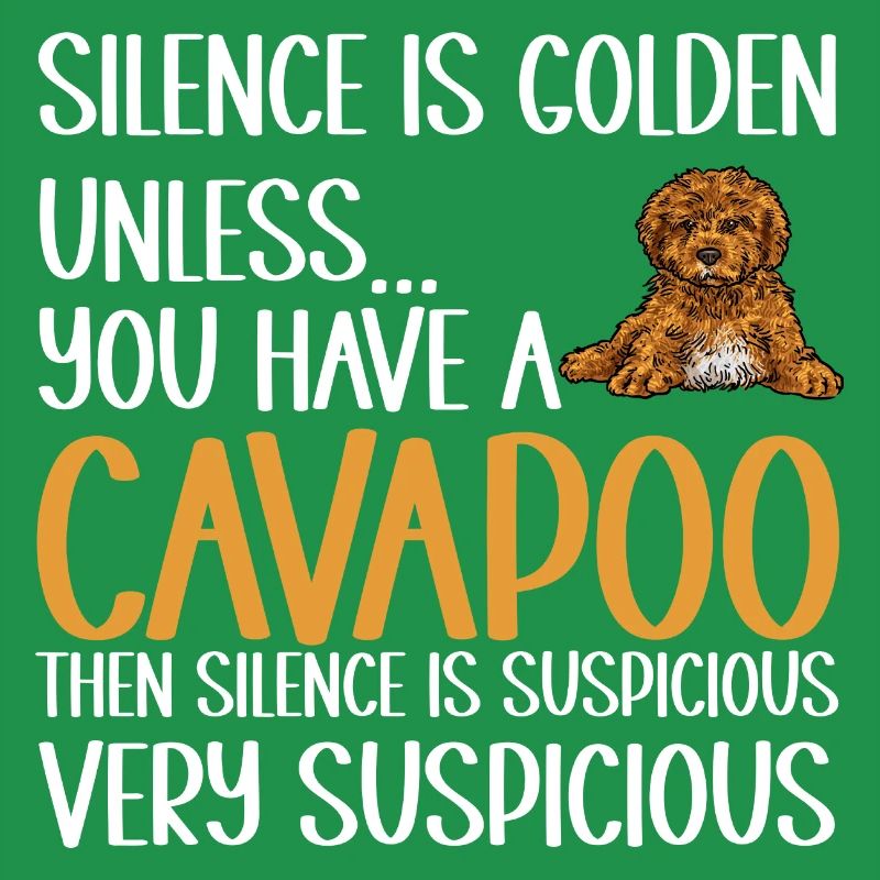 Cavapoo Cavoodle Capoodle Hund