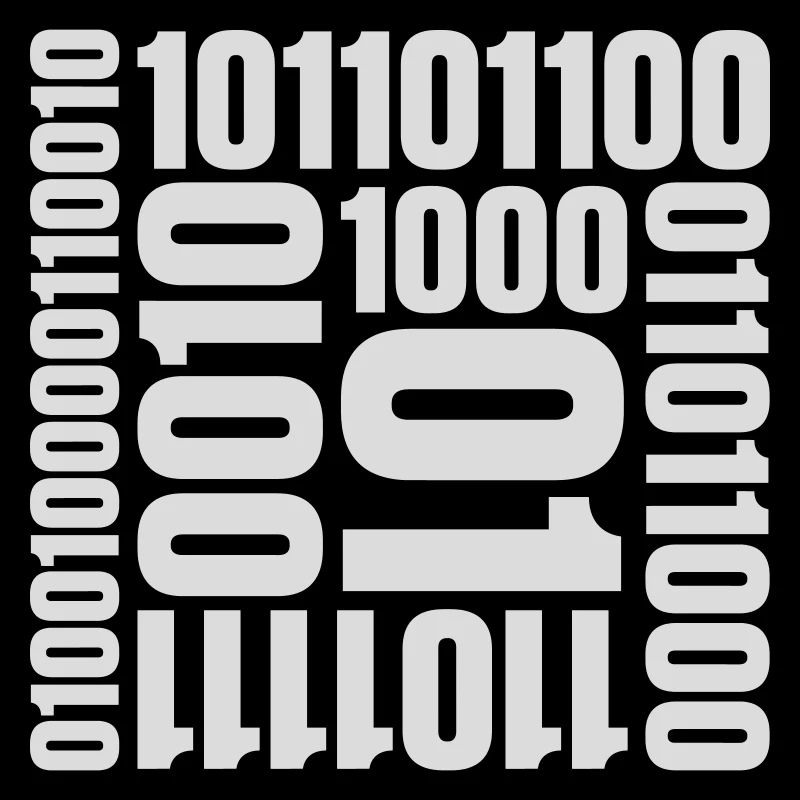 Langage de programme de code binaire