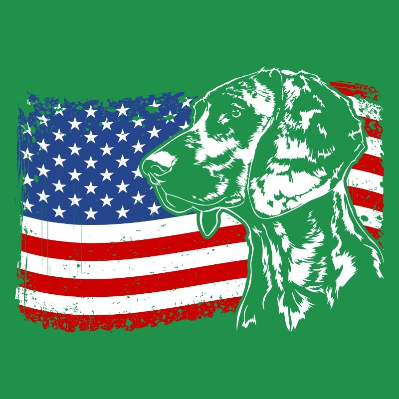 Chien de chasse à l’odeur hanovrienne Chiens de drapeau de l’Amérique