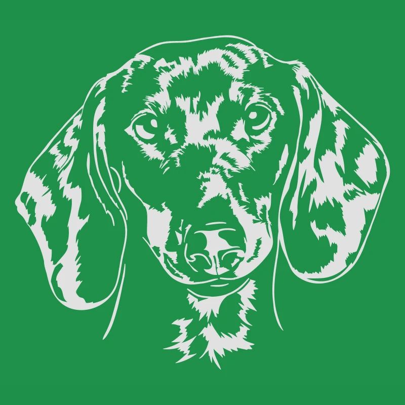 DACKEL DACHSHUND Teckel Wilsigns Hunde