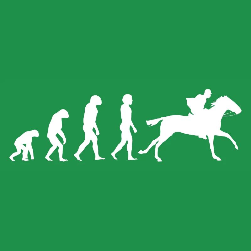 Pferde Pferd Reiten