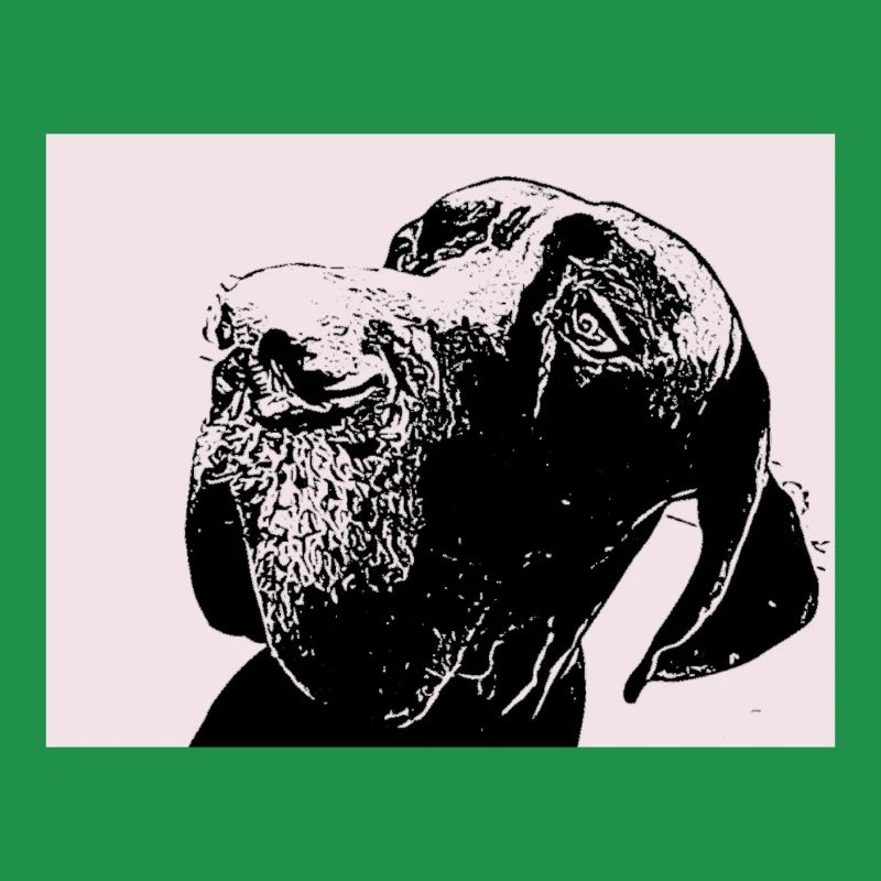 Great Dane