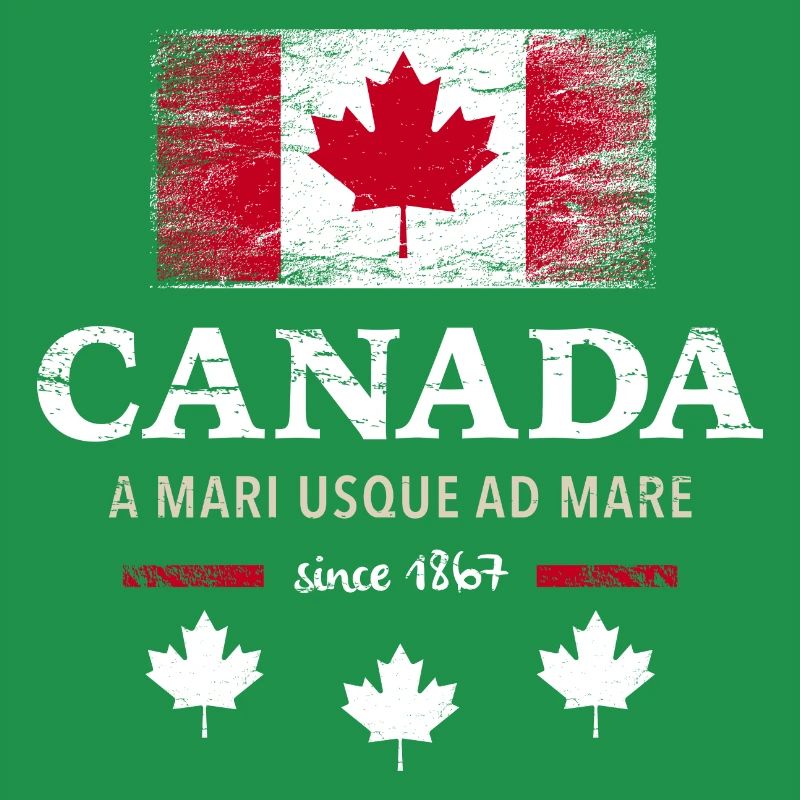 Canada Kanada Amerika maple leaf Flagge Fahne