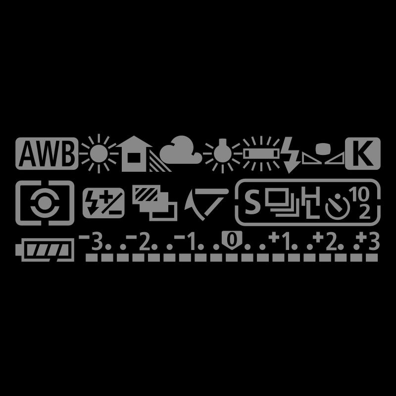 Digital Camera Icons