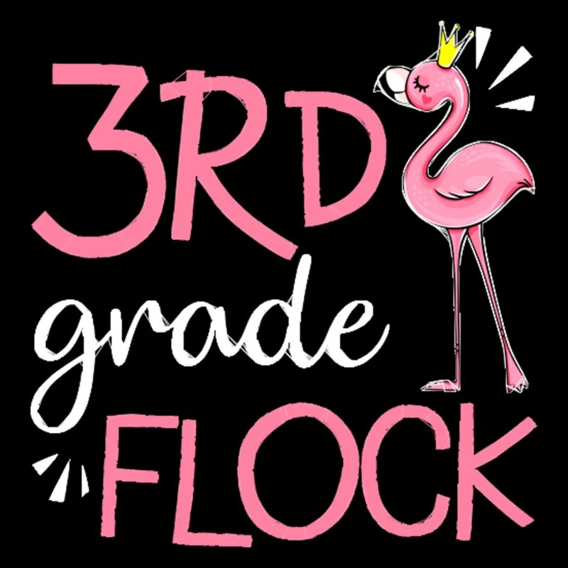 Flamingo Back To School 3rd Third Grade Flock
