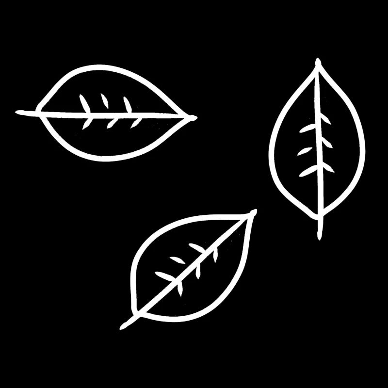 Leaf Three Leaves Symbol Shape Nature