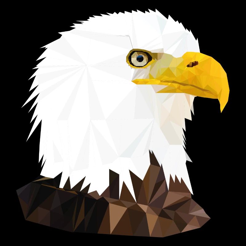 ADLER/ POLYGON