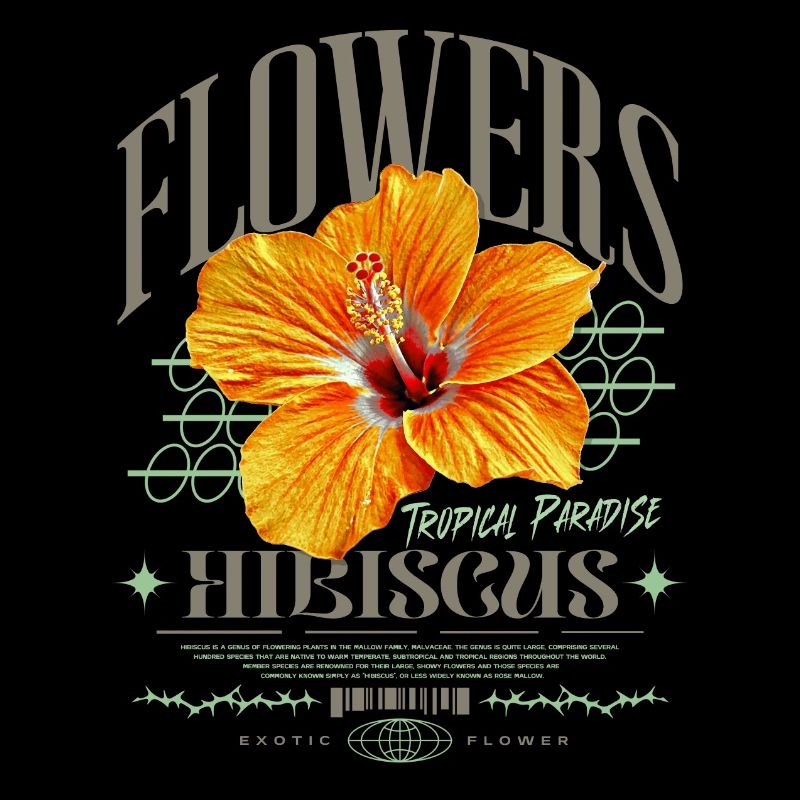Fleur d’hibiscus Fleur d’hibiscus