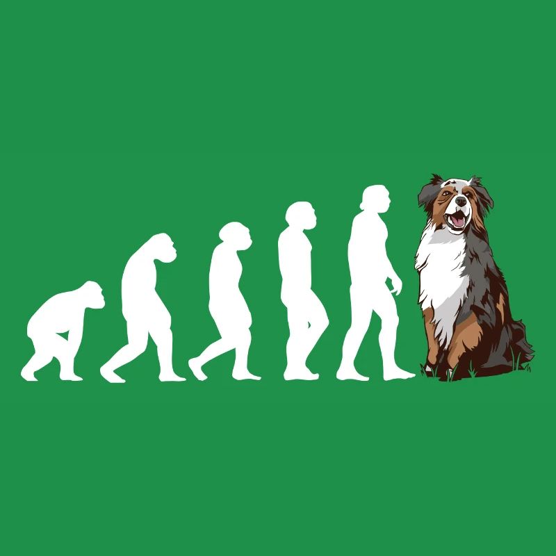 Évolution du chien Aussie