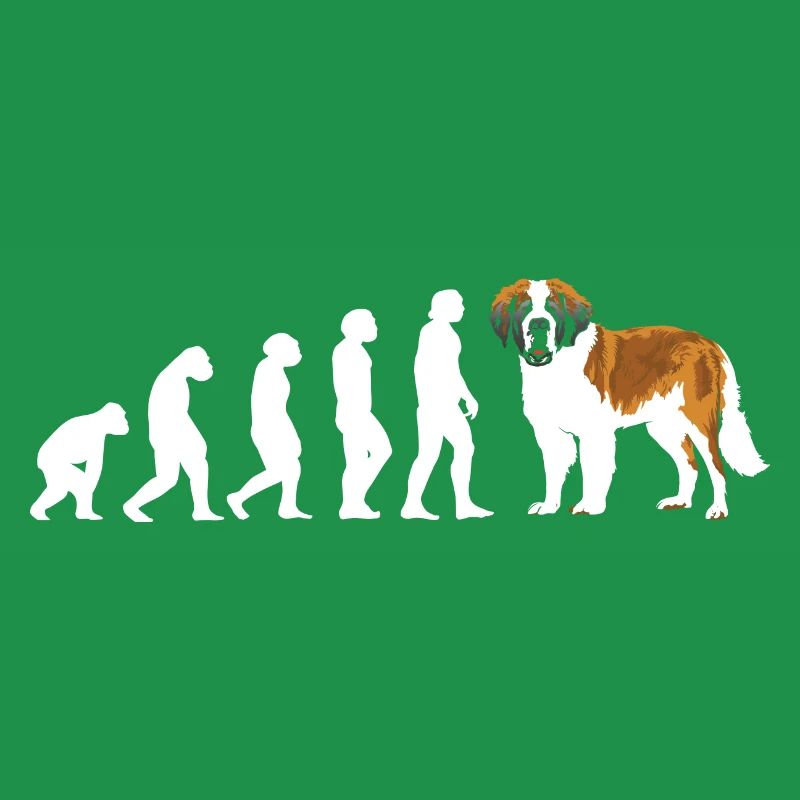 Evolution Saint-Bernard