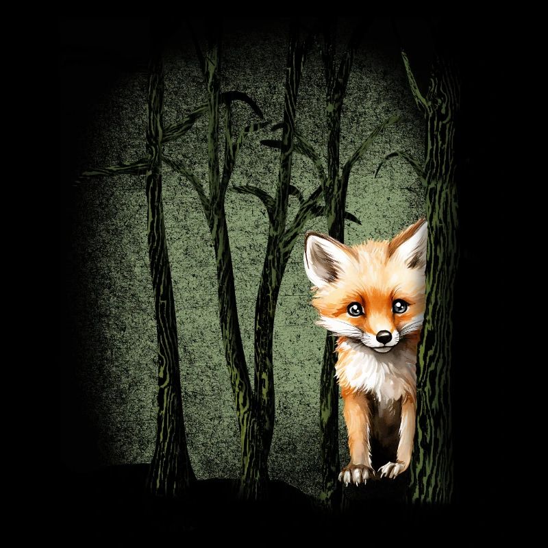 Forest Animals Fox Experience Nature for Nature Lovers
