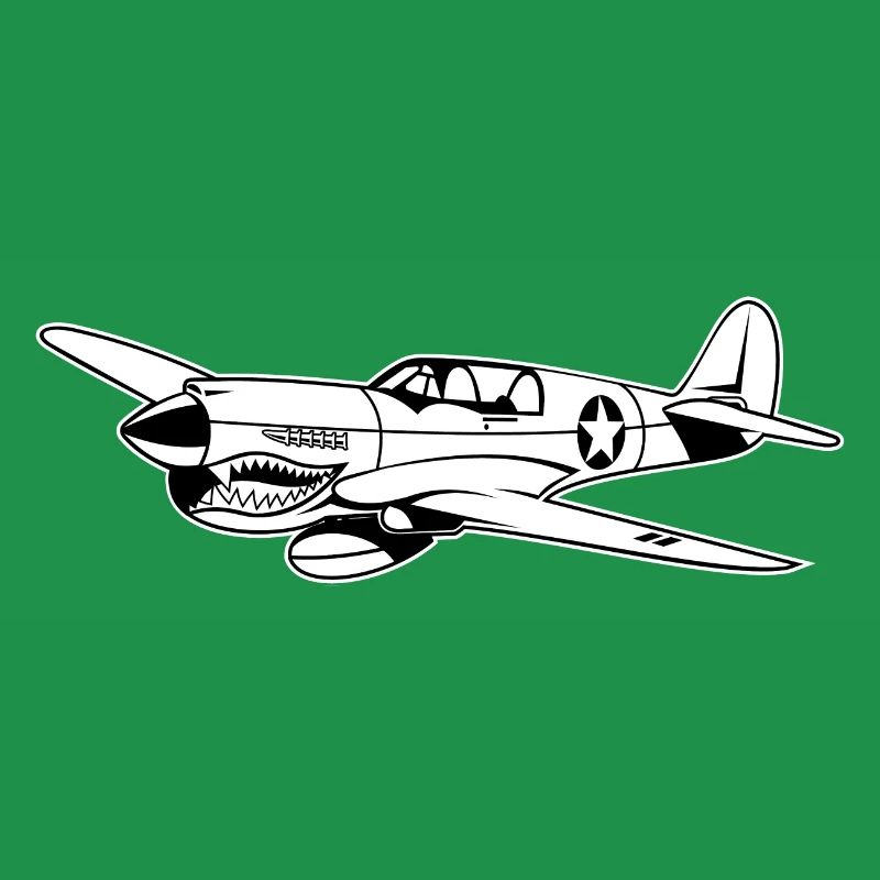Fighter plane / warplane Warhawk 02_weiß