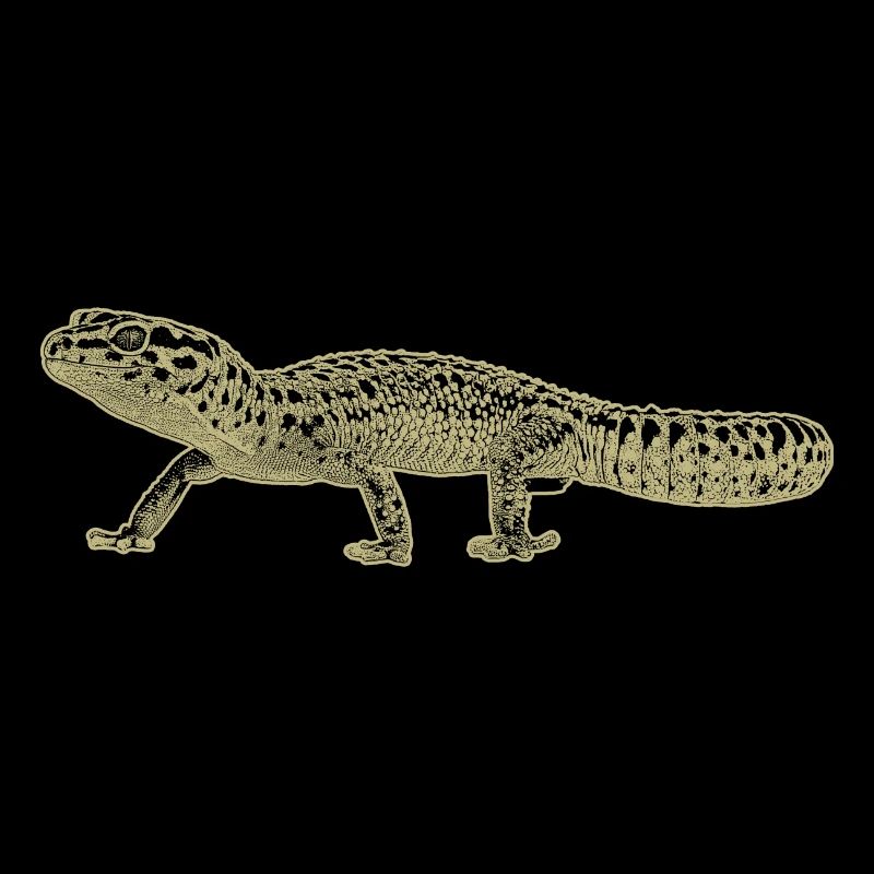Gecko léopard