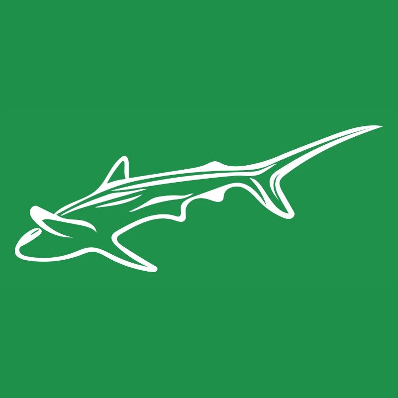Elegant shark in drift current