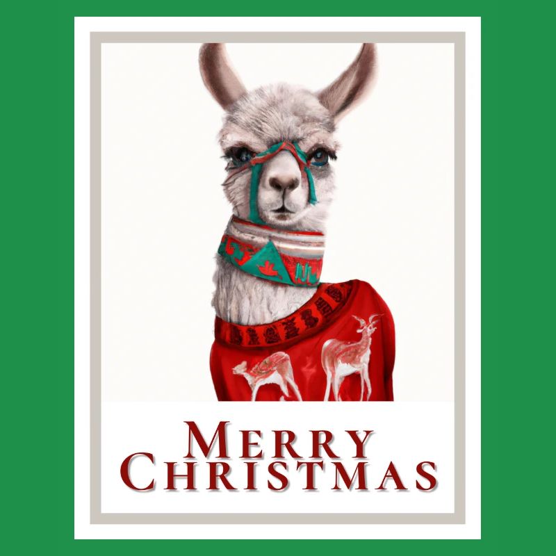 Photo d’un joli lama dans un pull de Noël.