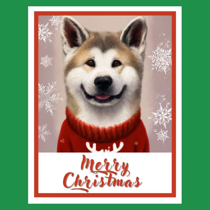 Charmant chien Akita dans un pull de Noël.