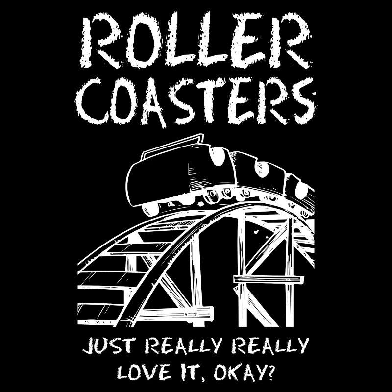 Roller Coaster Just Really Love It