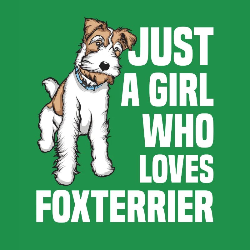 Foxterrier Drahthaar | Foxterrier