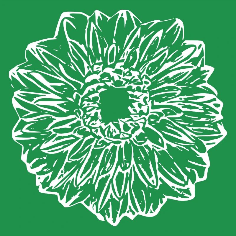 Fleur, Blanc, Fleur Blanche