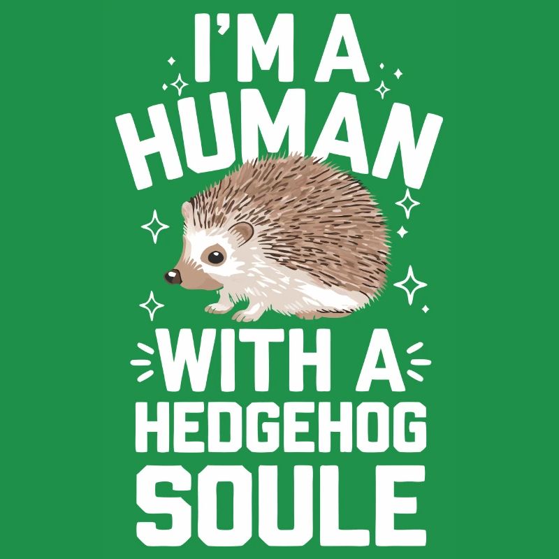 Igel Stachelig Tier Igel