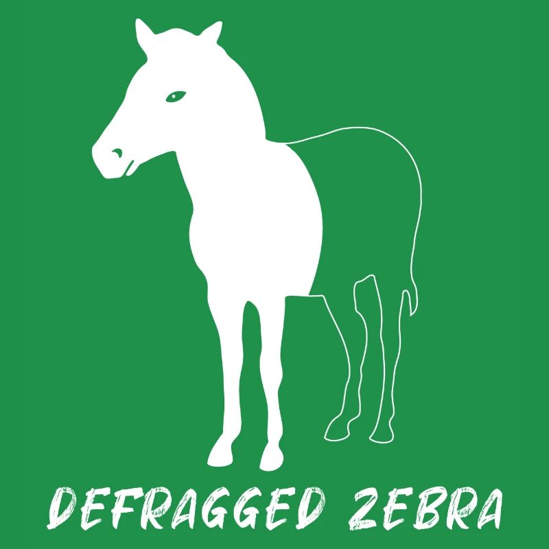 Defragged Zebra Admin Geek Programmer Gift
