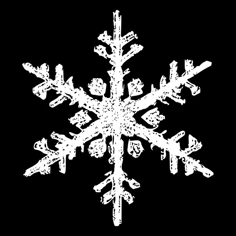 Snowflake Snow Winter Christmas Cold 03