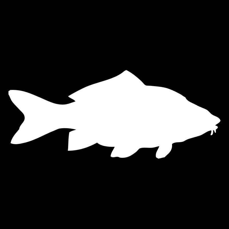Karpfen - Fisch - Fish